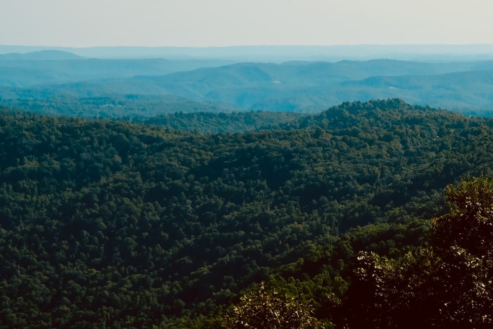 mountain views