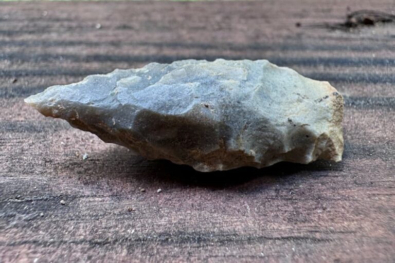 Arrowheads from the Big Garden