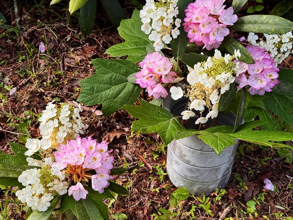 vases of fresh flowers