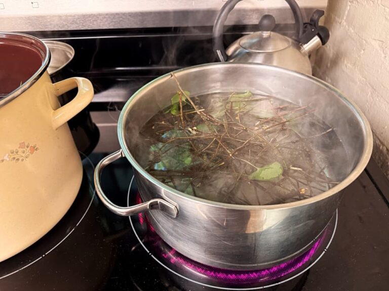 pot boiling on stove