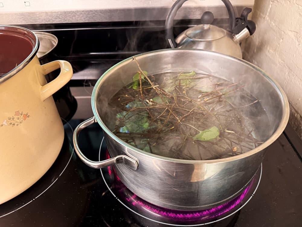 pot boiling on stove