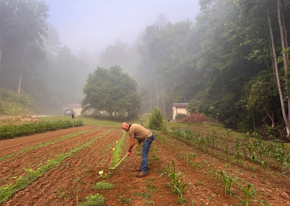 man hoeing in garden