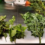 wild greens on table