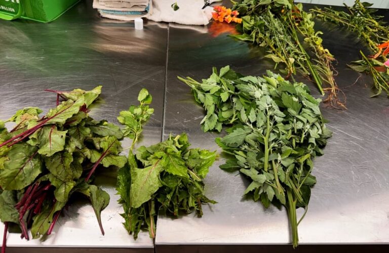 wild greens on table