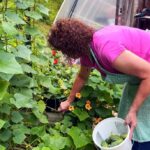 woman in garden