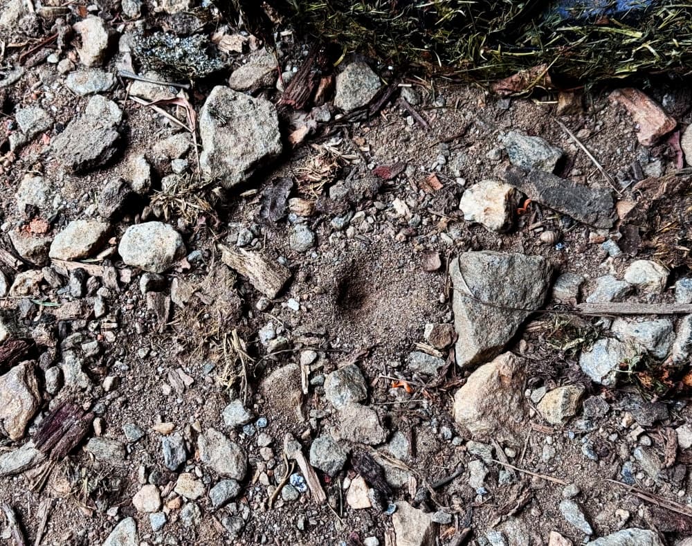 smooth round tunnel in dirt
