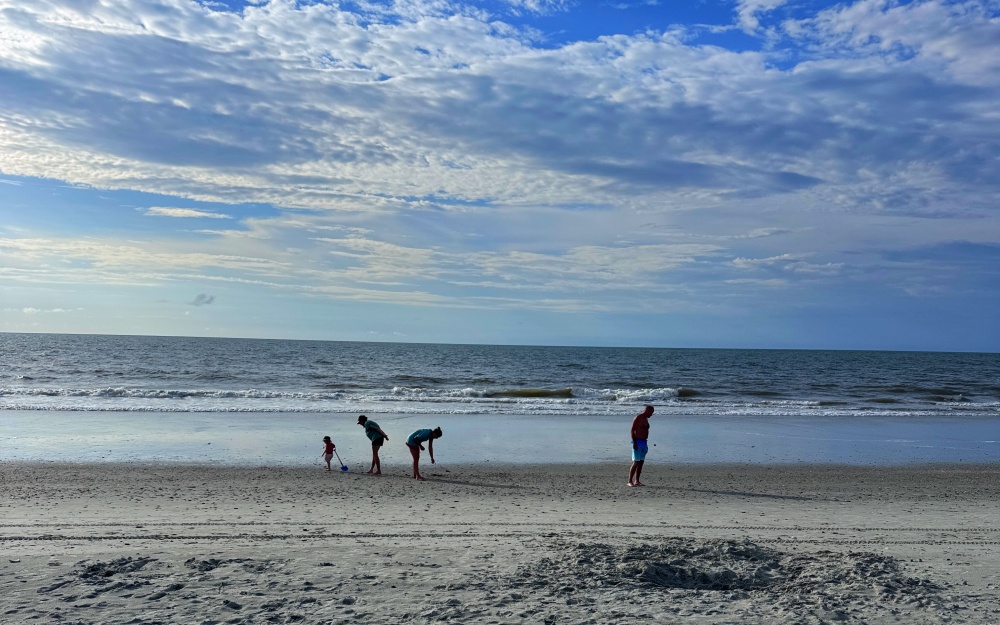 people on beach