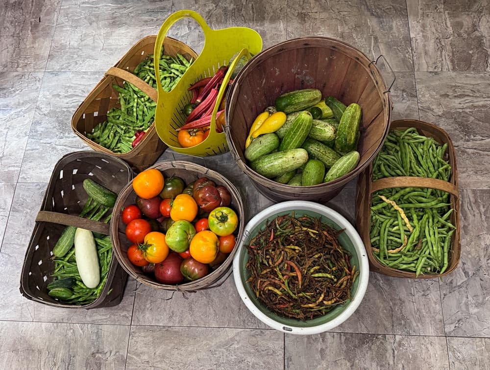 garden baskets full of vegetables