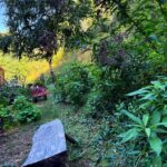 September yard