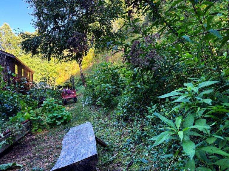 September yard