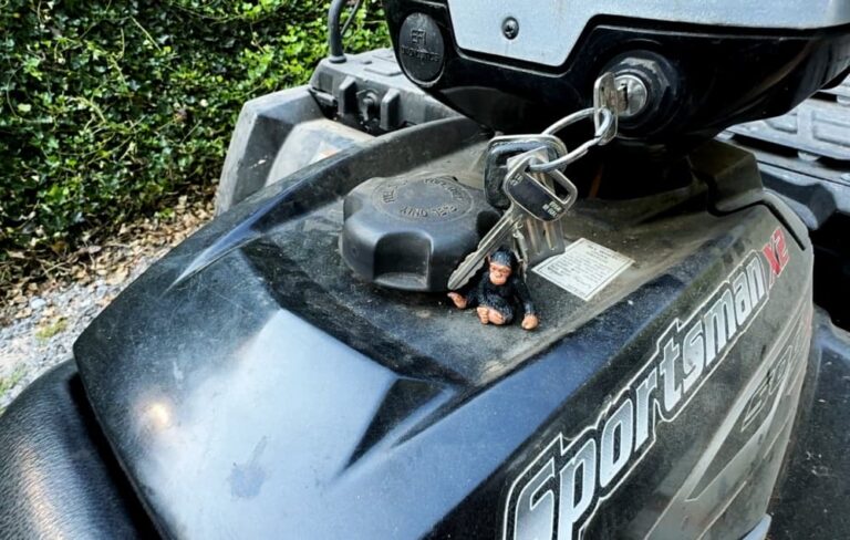 small toy monkey on 4 wheeler