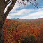 Fall Colors in the Mountains