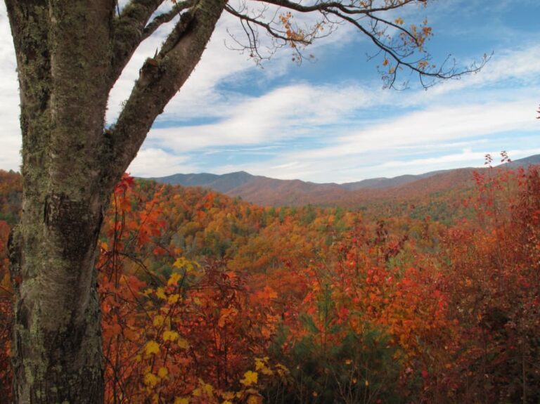 Fall Colors in the Mountains