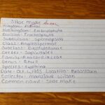 note card for school