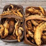 baskets of large sweet potatoes